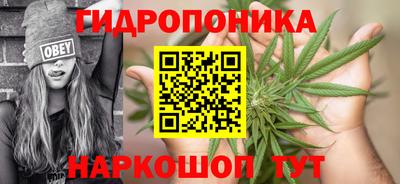 шишки Севастополь