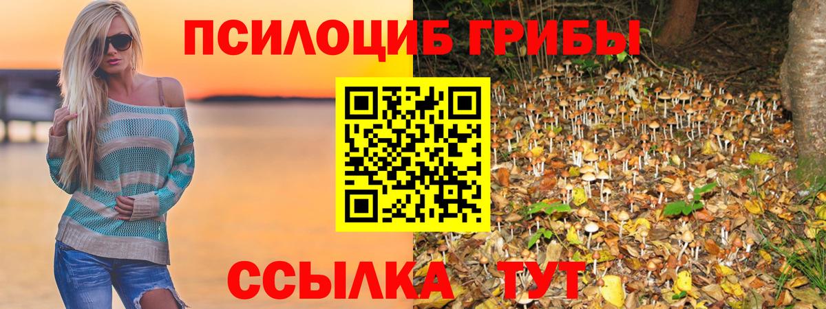Псилоцибиновые грибы мухоморы Ахтубинск