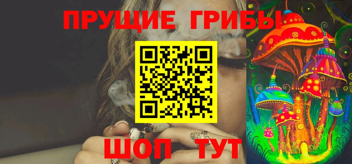 Галлюциногенные грибы Psilocybe  Вход с VPN  Ахтубинск 